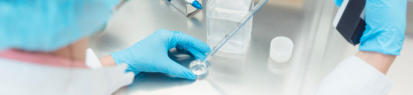 Close up of needle in petri dish.